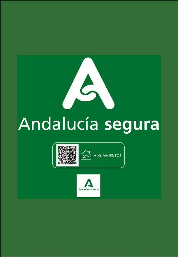 Holidays2Malaga Junto Catedral Appartement